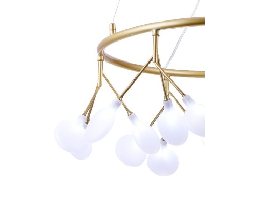 Подвесная люстра Grace GRACE 75125/6С GOLD SATIN Natali Kovaltseva