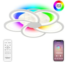 Подвесная люстра Holder Ii HIGH-TECH LED LAMPS 82038 Natali Kovaltseva