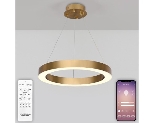 Подвесной светильник Led series 722 HIGH-TECH LED LAMPS 82057 Natali Kovaltseva