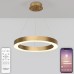 Подвесной светильник Led series 722 HIGH-TECH LED LAMPS 82057 Natali Kovaltseva