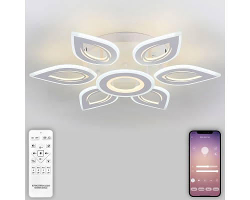 Потолочная люстра Led series 551 LED LAMPS 81123/6C Natali Kovaltseva