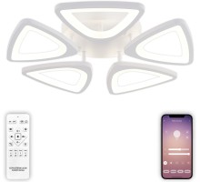 Потолочная люстра Kirke LED LAMPS 81242 Natali Kovaltseva