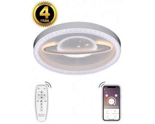 Потолочный светильник Led LED LAMPS 81098 Natali Kovaltseva