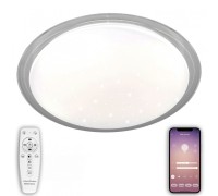Потолочный светильник LED LED LAMPS 81101 Natali Kovaltseva
