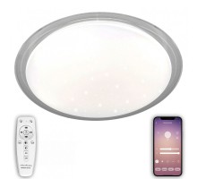 Потолочный светильник LED LED LAMPS 81101 Natali Kovaltseva