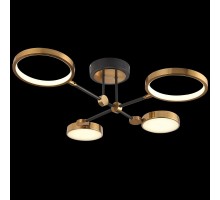 Потолочная люстра Loft Led LED LAMPS 81102/4C BRASS BLACK Natali Kovaltseva