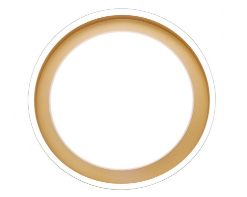 Потолочная люстра LED LAMPS LED LAMPS 81301 Natali Kovaltseva