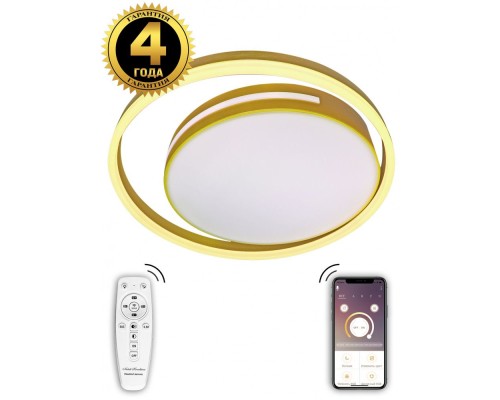 Потолочный светильник LED LAMPS LED LAMPS 81304 Natali Kovaltseva