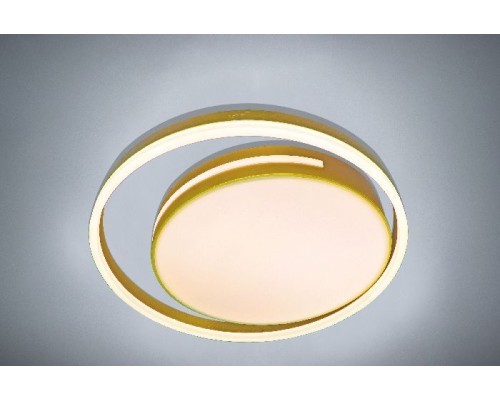 Потолочный светильник LED LAMPS LED LAMPS 81304 Natali Kovaltseva