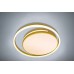 Потолочный светильник LED LAMPS LED LAMPS 81304 Natali Kovaltseva