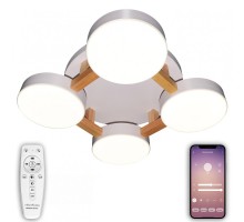 Потолочная люстра LED LED LAMPS 81325 Natali Kovaltseva