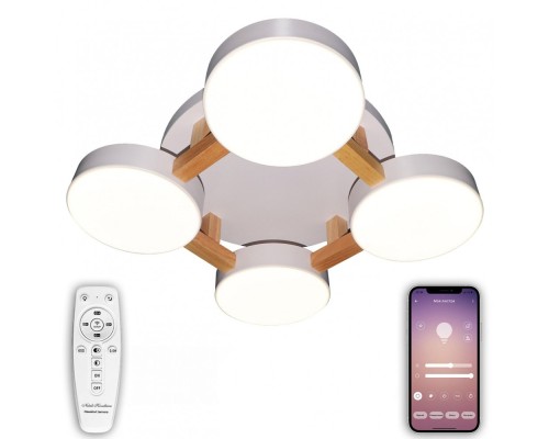 Потолочная люстра LED LED LAMPS 81325 Natali Kovaltseva