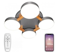 Потолочная люстра LED LED LAMPS 81326 Natali Kovaltseva