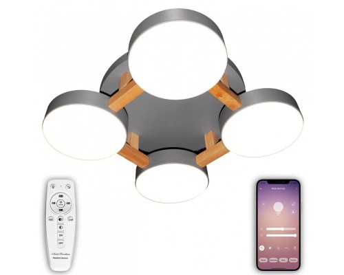 Потолочная люстра LED LED LAMPS 81326 Natali Kovaltseva