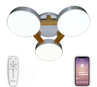 Потолочная люстра LED LED LAMPS 81327 Natali Kovaltseva