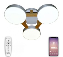 Потолочная люстра LED LED LAMPS 81327 Natali Kovaltseva