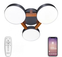 Потолочная люстра LED LED LAMPS 81328 Natali Kovaltseva