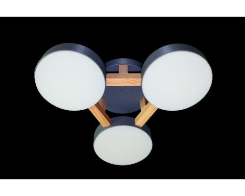 Потолочная люстра LED LED LAMPS 81328 Natali Kovaltseva