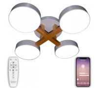 Потолочная люстра LED LED LAMPS 81329 Natali Kovaltseva