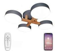 Потолочная люстра LED LED LAMPS 81330 Natali Kovaltseva