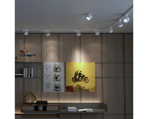 Трековый светильник Eddy 358943 Novotech