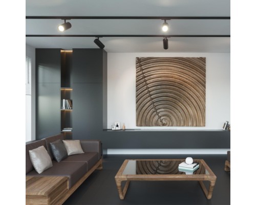 Трековый светильник Selene 359161 Novotech