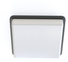 Настенно-потолочный светильник Tahoe 10038 Nowodvorski