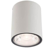 Потолочный светильник уличный Edesa Led 9108 Nowodvorski