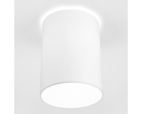 Потолочный светильник Cameron 9685 Nowodvorski