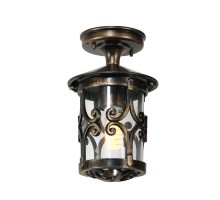 Потолочный светильник уличный  15855А Gb Oasis Light