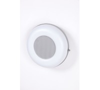 Потолочный светильник уличный SIDNEY 3331 S Oasis Light