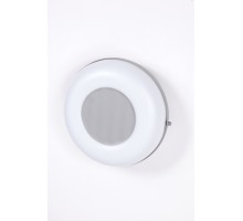 Потолочный светильник уличный SIDNEY 3331 S Oasis Light