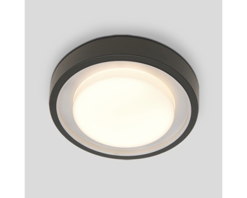 Потолочный светильник уличный SIDNEY 3351 Gr Oasis Light