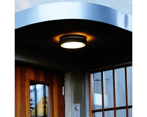 Потолочный светильник уличный SIDNEY 3351 Gr Oasis Light