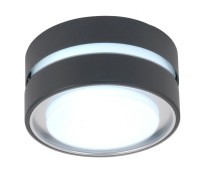 Потолочный светильник уличный  3351S Gr Oasis Light