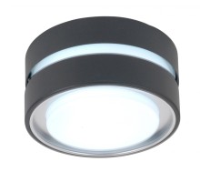 Потолочный светильник уличный  3351S Gr Oasis Light