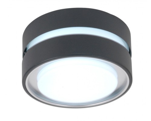 Потолочный светильник уличный  3351S Gr Oasis Light