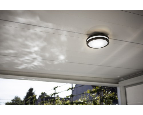 Потолочный светильник уличный SIDNEY 3362 Gr Oasis Light