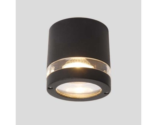 Потолочный светильник уличный  6042 Gr Oasis Light