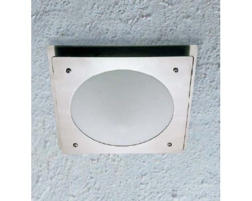 Потолочный светильник уличный  77803 SS Oasis Light