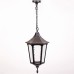 Уличный светильник подвесной  79705L Bl Oasis Light