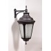 Настенный фонарь уличный  79752L Bl Oasis Light