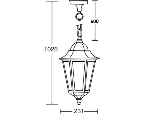 Уличный светильник подвесной PETERSBURG ECONOM 79805E Bl Oasis Light