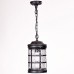 Уличный светильник подвесной  81205 Bl Oasis Light
