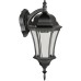 Настенный фонарь уличный ASTORIA 1 L 91302L cover Bl Oasis Light