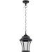 Уличный светильник подвесной ASTORIA 1 L 91305L Bl Oasis Light