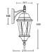Настенный фонарь уличный ASTORIA 2M 91402M Bl овал Oasis Light