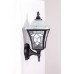 Настенный фонарь уличный VENECIA 2L 91801L/04 Bl Oasis Light