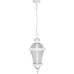 Уличный светильник подвесной ROMA L 95205L W Oasis Light