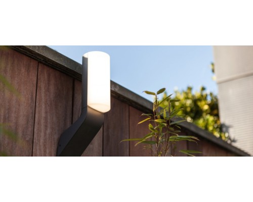 Настенный светильник уличный  W1886 Gr Oasis Light